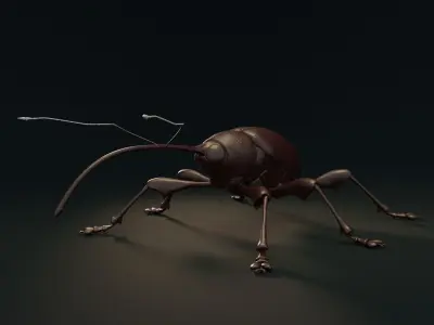 Chestnut Weevil or Curculio Elephas Low-poly 3D model