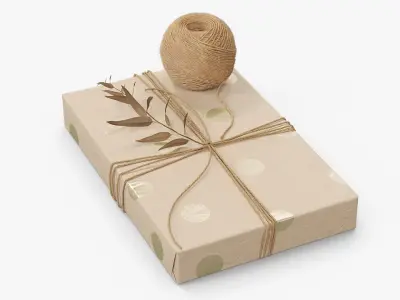 Gift Box Wrapped Jute Twine with Decorative Twig 3D model
