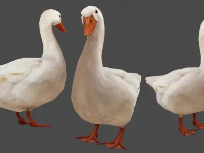 Duck Rigged Animated 3 Low-poly 3D model