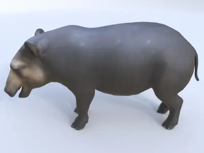 Tapir 3D model