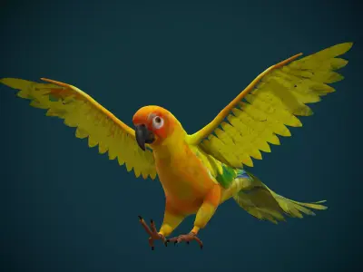 Sun Conures Parakeet Bird Low-poly 3D model