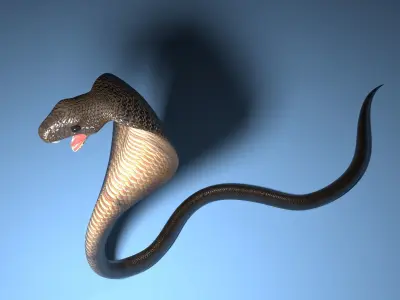 Snake cobra Free low-poly 3D model