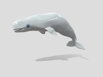 Beluga Realistic Animated  Low-poly 3D model