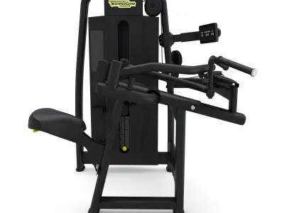 Technogym - Selectorised - Upper Back 3D model