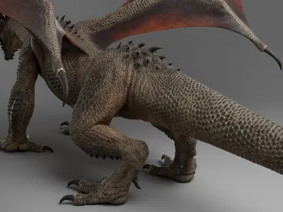 Dragon Adult No Rig 3D model