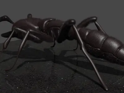 Sculpted ant 3D model with hair Low-poly 3D model