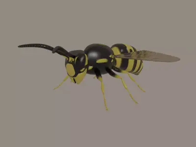 Wasp model 3D model