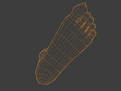LEFT FOOT Low-poly 3D model