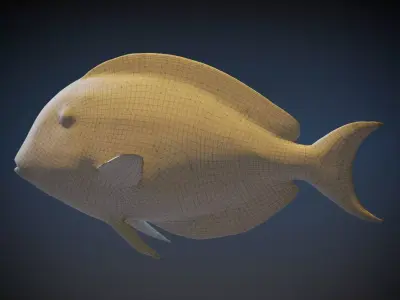  Sohal Surgeonfish 3D model