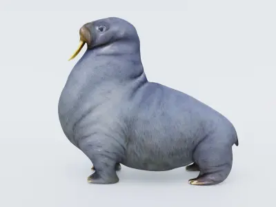Walrus Free 3D model