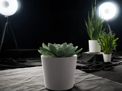  Echeveria Succulent Potted Plant Model, Green 