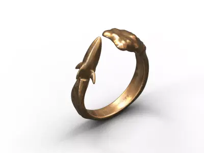 High-Quality 3D Ring Jet Model Low-poly 3D model