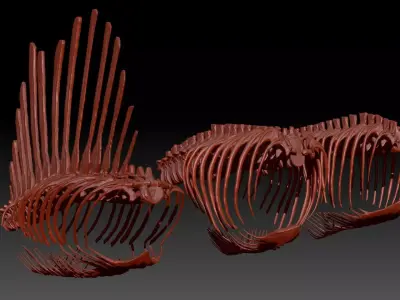 Dinosaur Spinosrs Tyrannosaurus Giganotosaurus SpineRib Skeltons 3D model