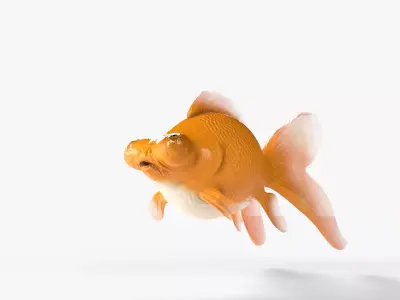 Orange gold fish Low-poly 3D model