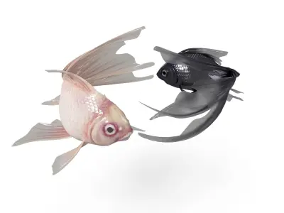 Yin Yang Fish Low-poly 3D model