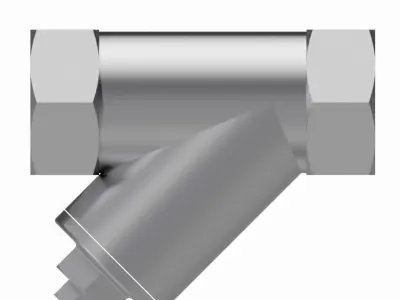 Y-Type Strainers - BSP Threaded Ends 3D model