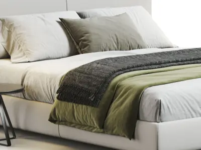 Flexform Magnum Bed 3D model