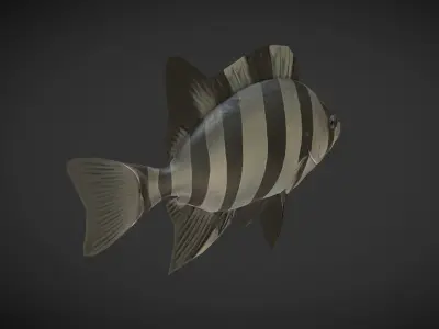 Fishes 02 Low-poly 3D model