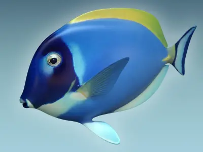 Dorry Fish 3D model