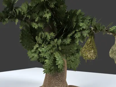 Baya Weaver Nest 3D model