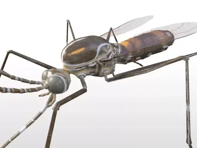 Mosquito insect Low-poly 3D model