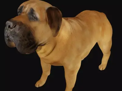 Mastiff dog Low-poly 3D model
