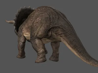 Triceratops - animations Low-poly 3D model