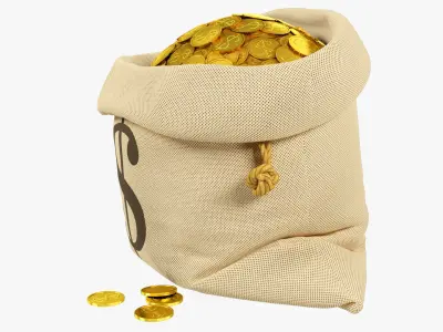 Bag of Coins V1 3D model