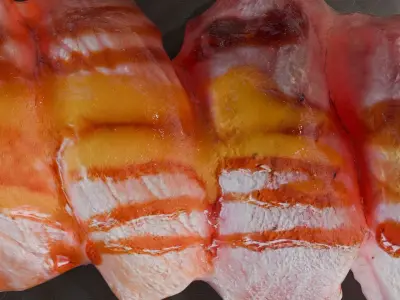 Sushi special Salmon and Tuna nigiri with teriyaki mango sauce 3D model