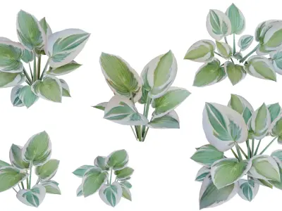 Small plants - low poly - 6 Variations - 281 Models Free low-poly 3D model