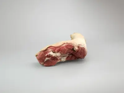 Raw Pig Foot - 3D Scan Low-poly 3D model