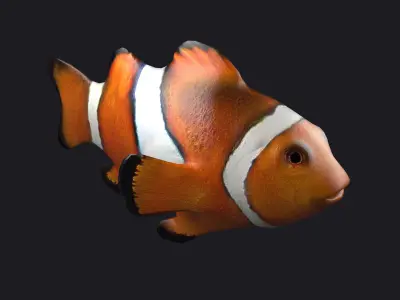 Clownfish Anemonefish Ocellaris fish aquarium tropical sea 3D model