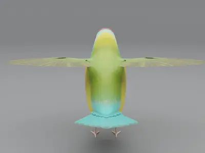 3D Gouldian Finch Model 3D model