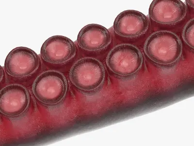 Tentacles 3D model
