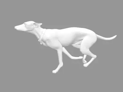Running greyhound 3D model