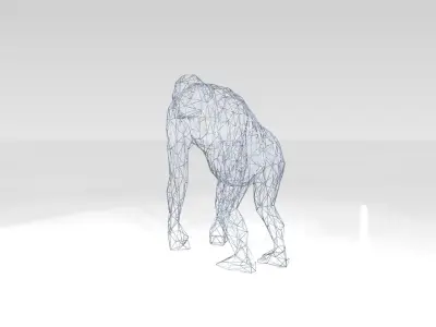 Orangutan Wireframe 3D model