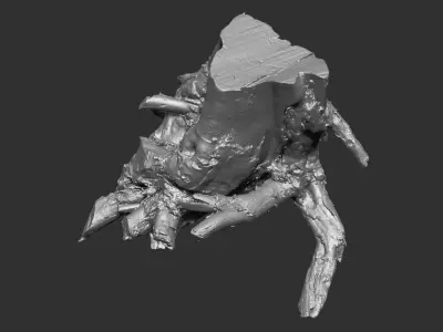 3d scan of tree root in highpoly 3D model