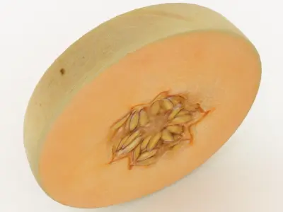 Round Slice Orange Honeydew Melon 3D model