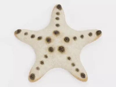 -Chocolate Chip Starfish -  3D model