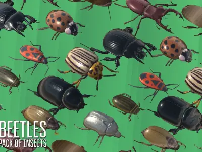 Beetles - pack of insects Low-poly 3D model