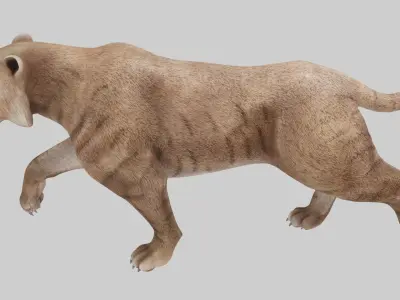  saber tooth 3D model