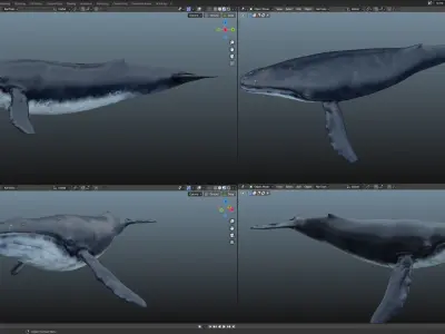 Blue whale  Low-poly 3D model