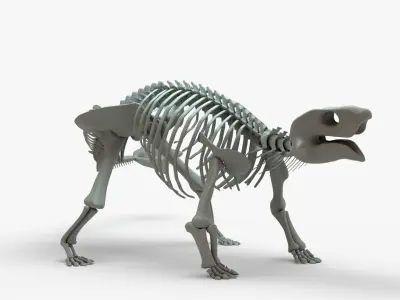 Ankylosaurus Rigged Skeleton Low-poly 3D model