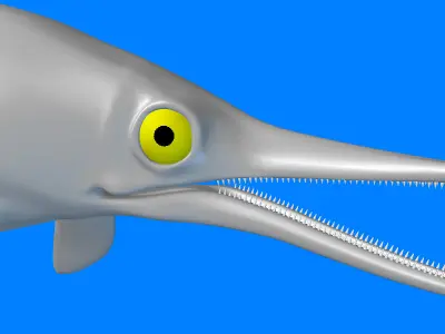 Ichthyosaurus dolphin 3D model
