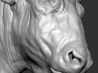 Bizon Bison bison most VFX Zbrush Sculpture Digitale 3D model