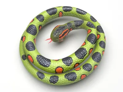 Rubber Snake 3D model