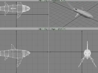 Shark - Fox 3D model