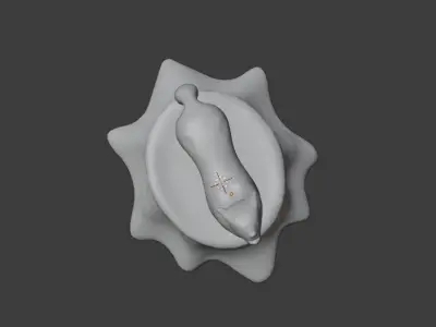 Wolf Model W Stand 3D PRINTABLE Free 3D model