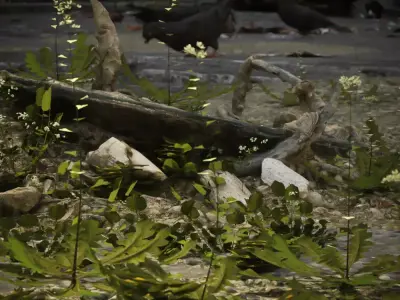 Tiny Plants Bittercress  Low-poly 3D model