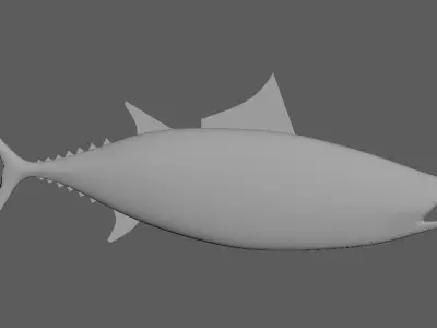 Tuna Fish Lowpoly 3D Gaming model  Low-poly 3D model